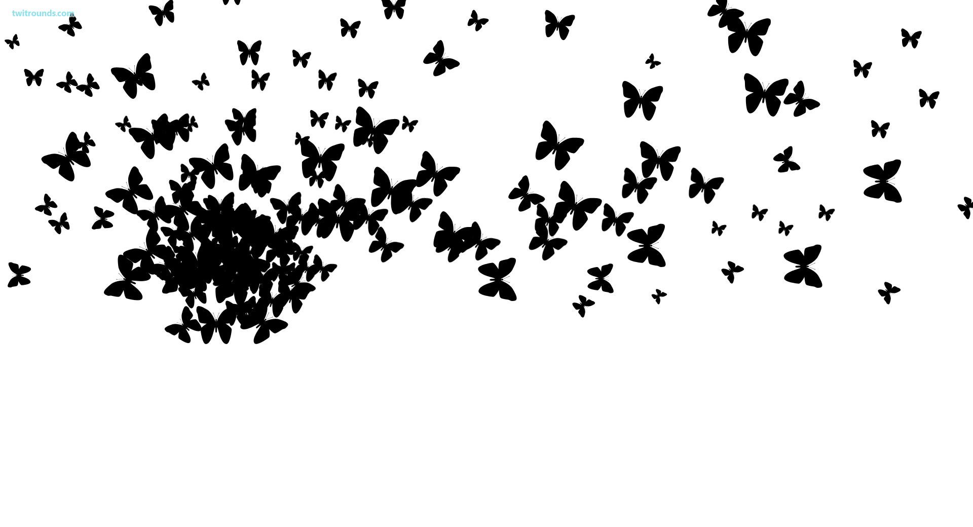 Black Butterfly Background