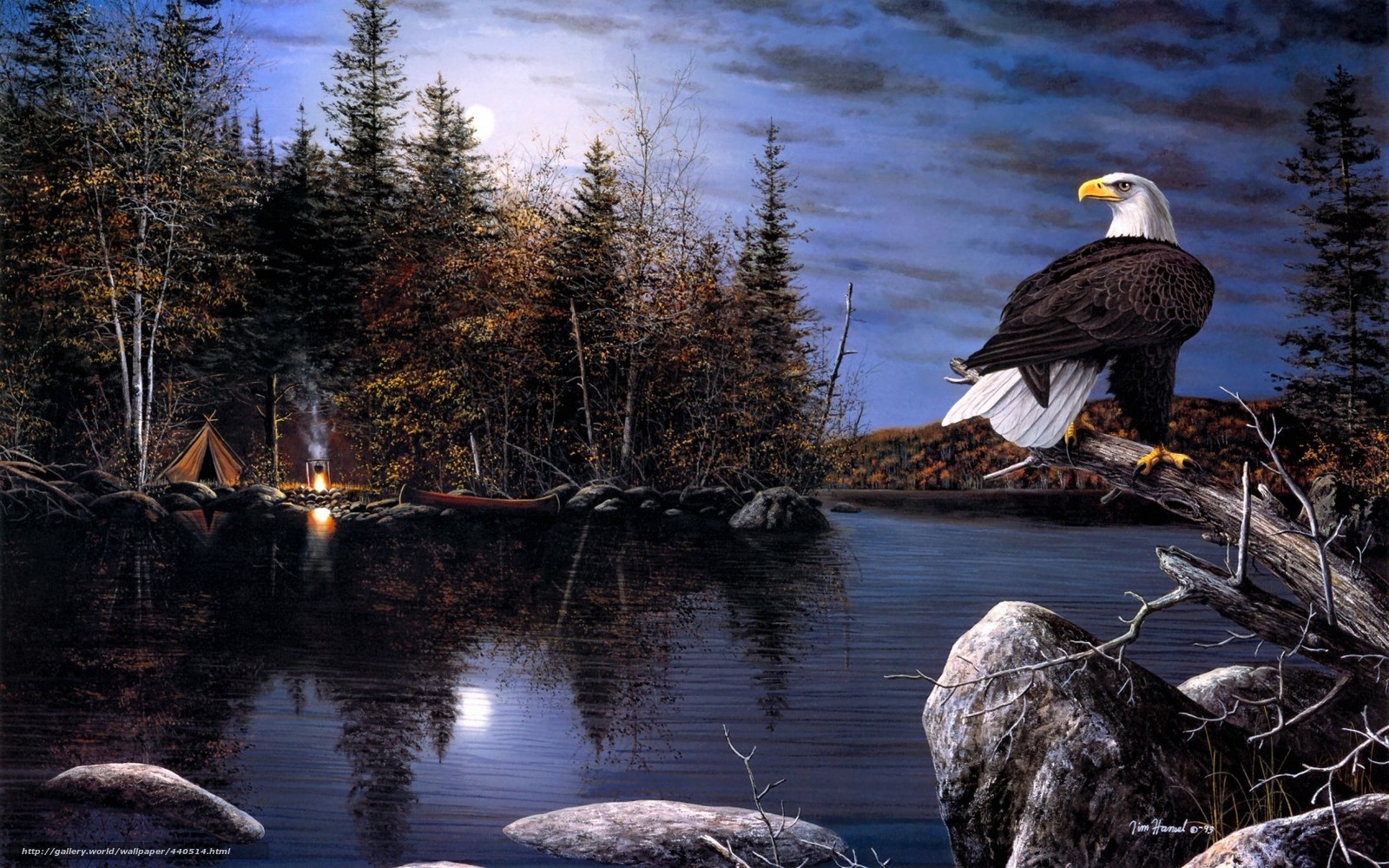 Wallpaper Eagle Painting Night Moon Desktop