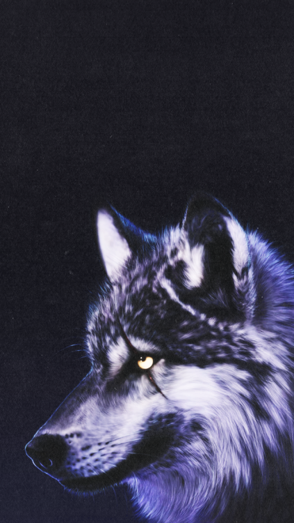 Wolf iPhone Background
