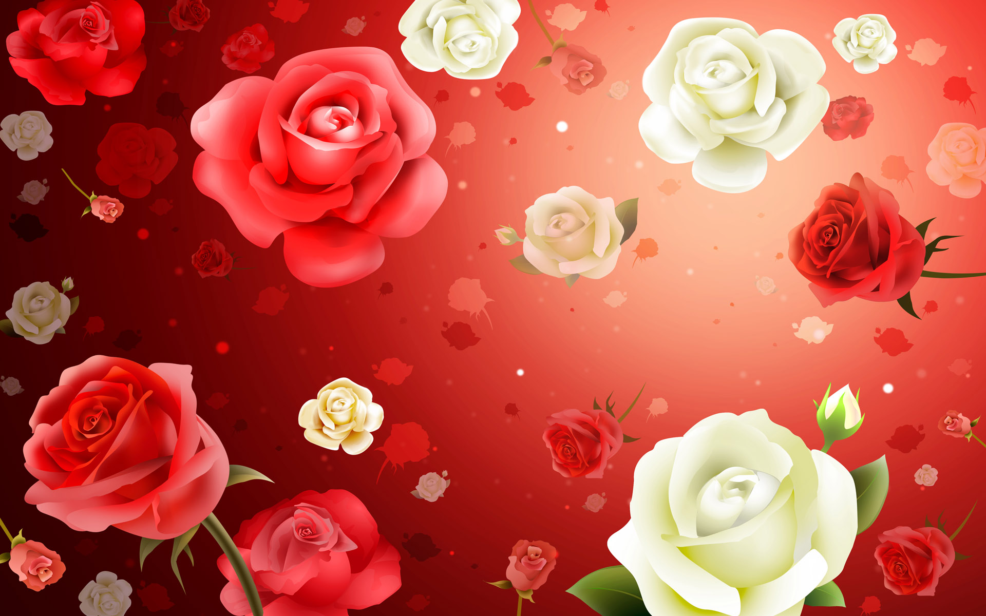 roses wallpapers wallpaper desktop 1920x1200