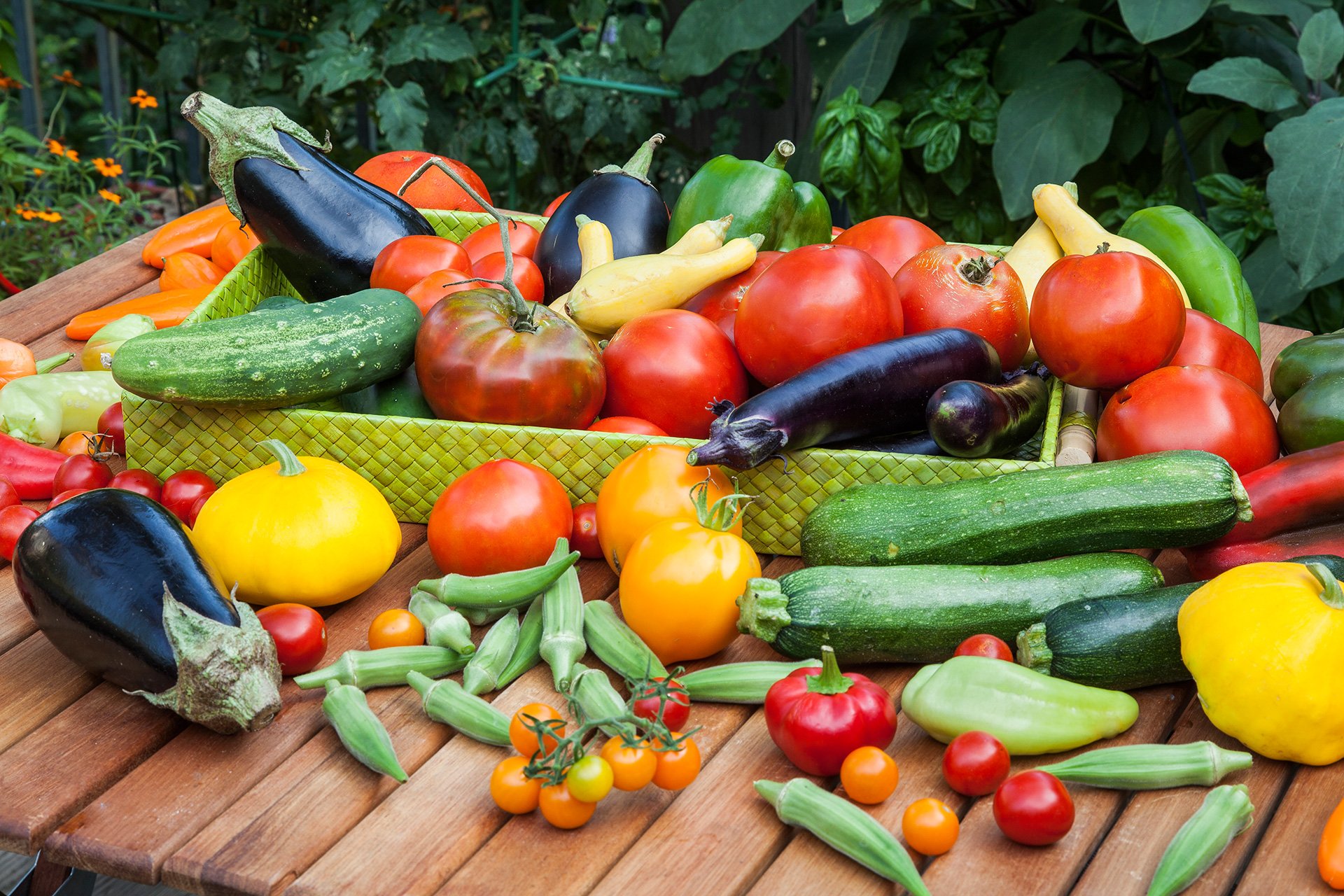 [49+] Vegetable Gardening Wallpaper on WallpaperSafari