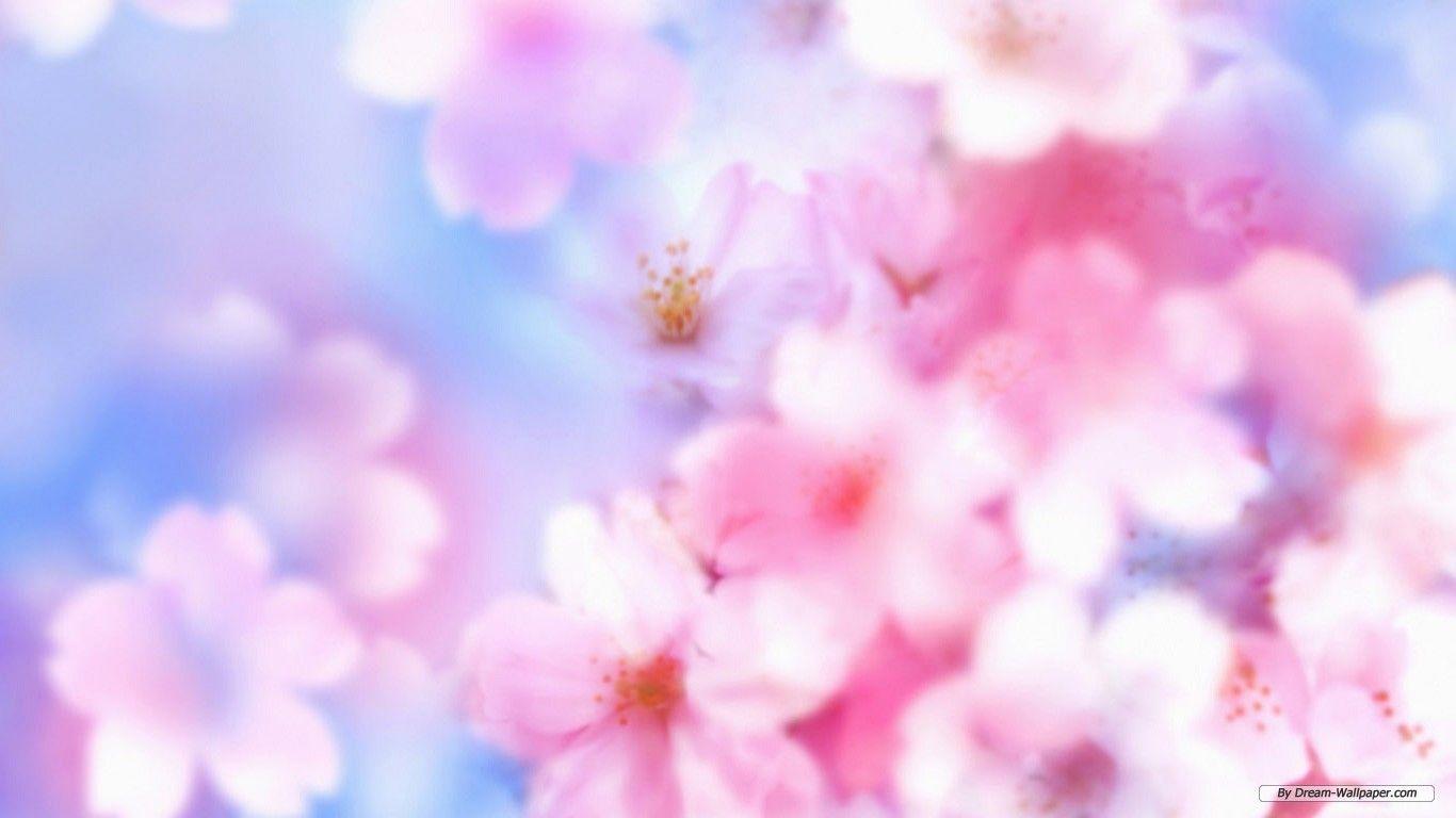 Floral Desktop Backgrounds