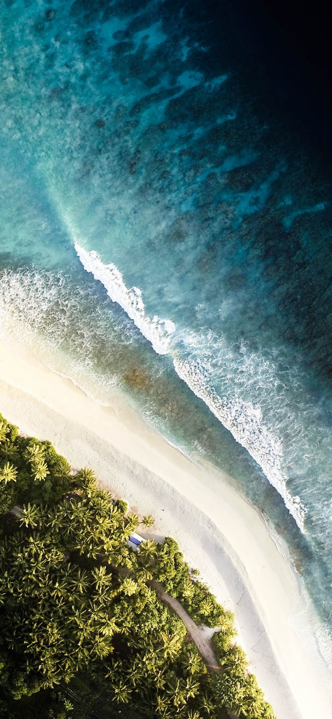 Aerial view of a pristine white sand beach meeting turquoise ocean waves, with lush green tropical vegetation lining the shore