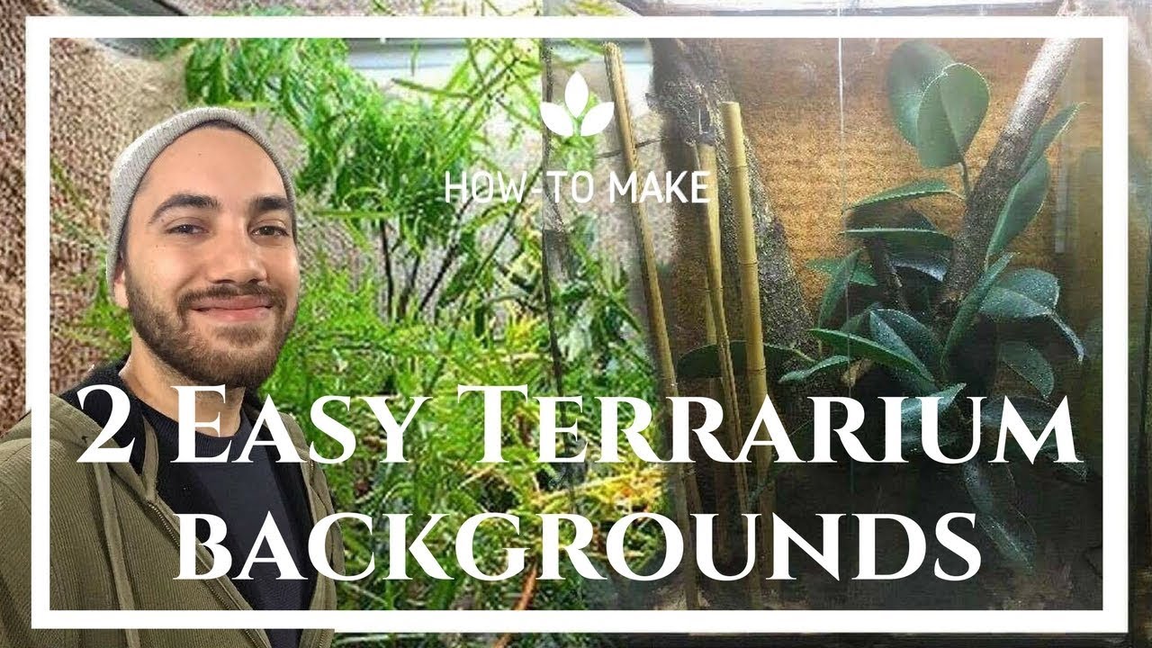 How To Make A Terrarium Background Fast Easy Methods