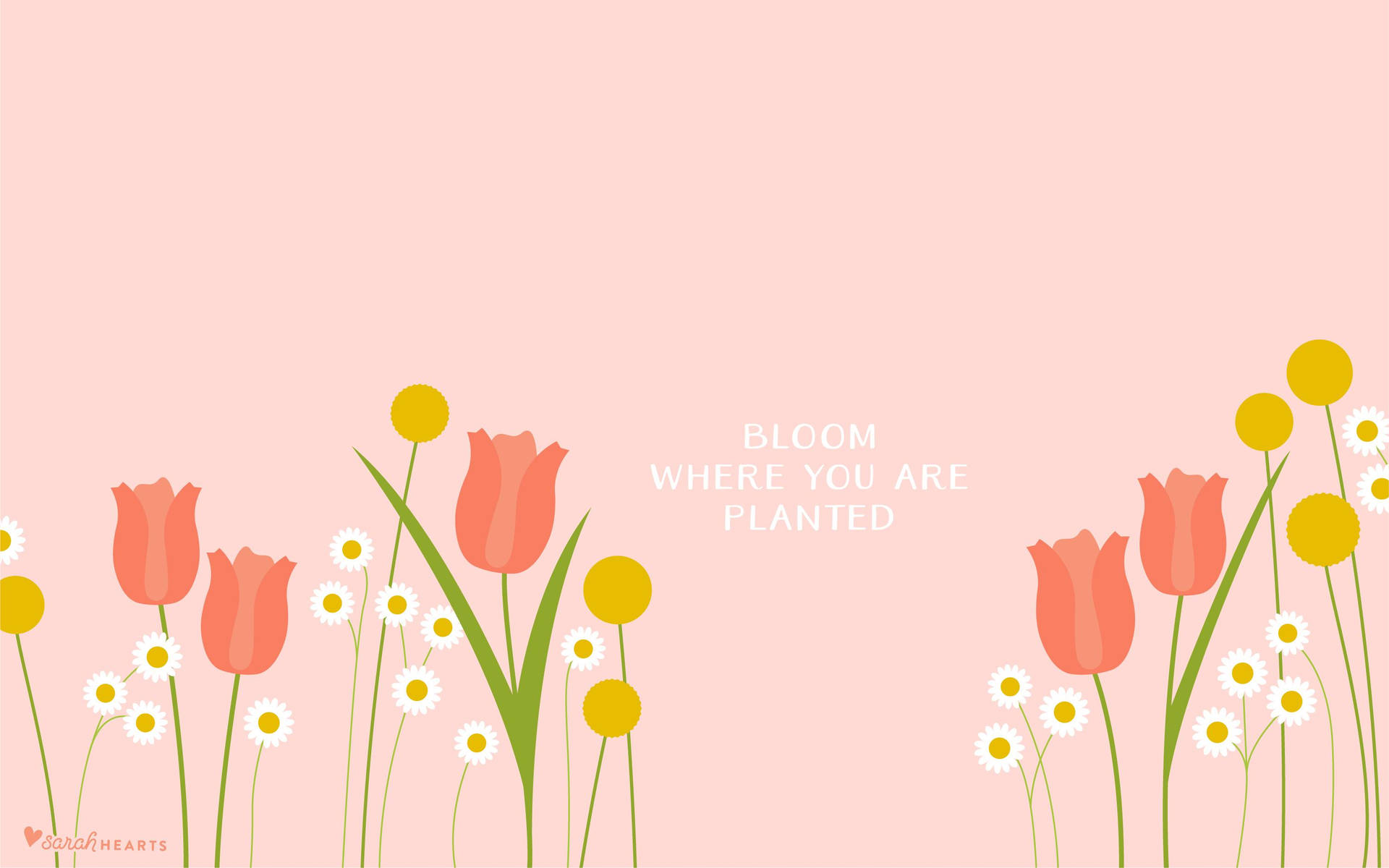 Spring Aesthetic Wallpaper