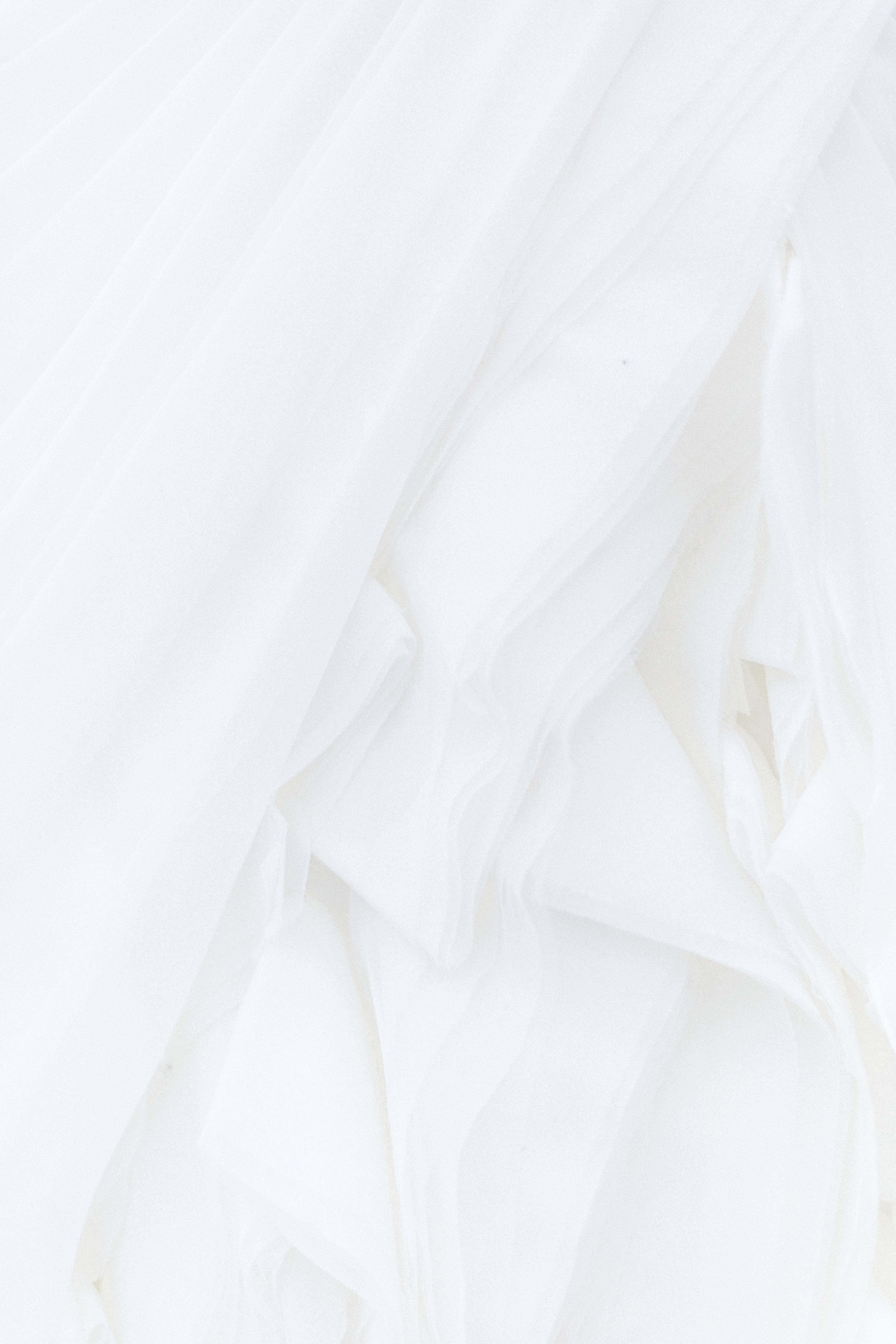 Plain Pure White Texture Wallpaper