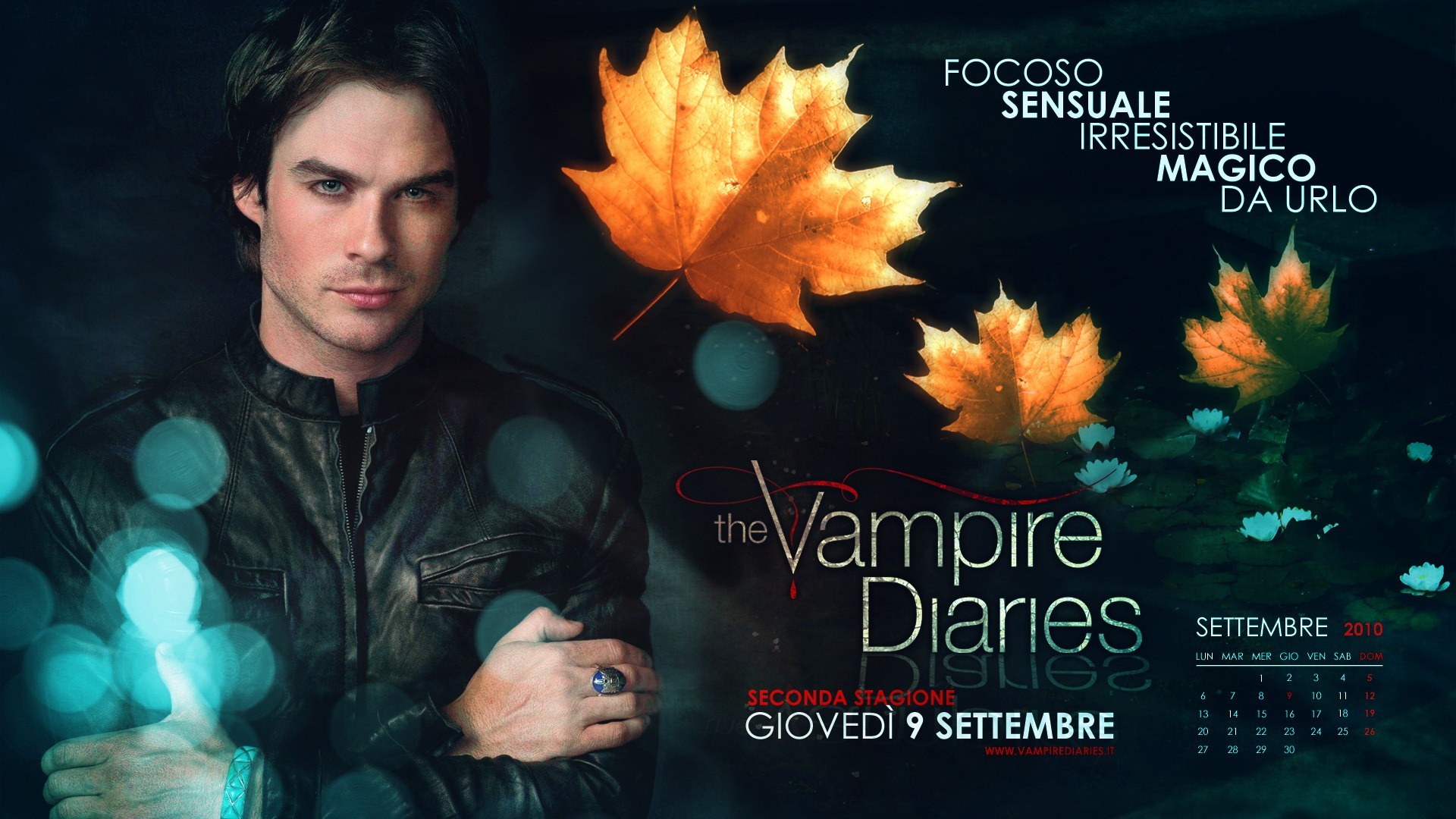 The Vampire Diaries HD Movie Wallpaper