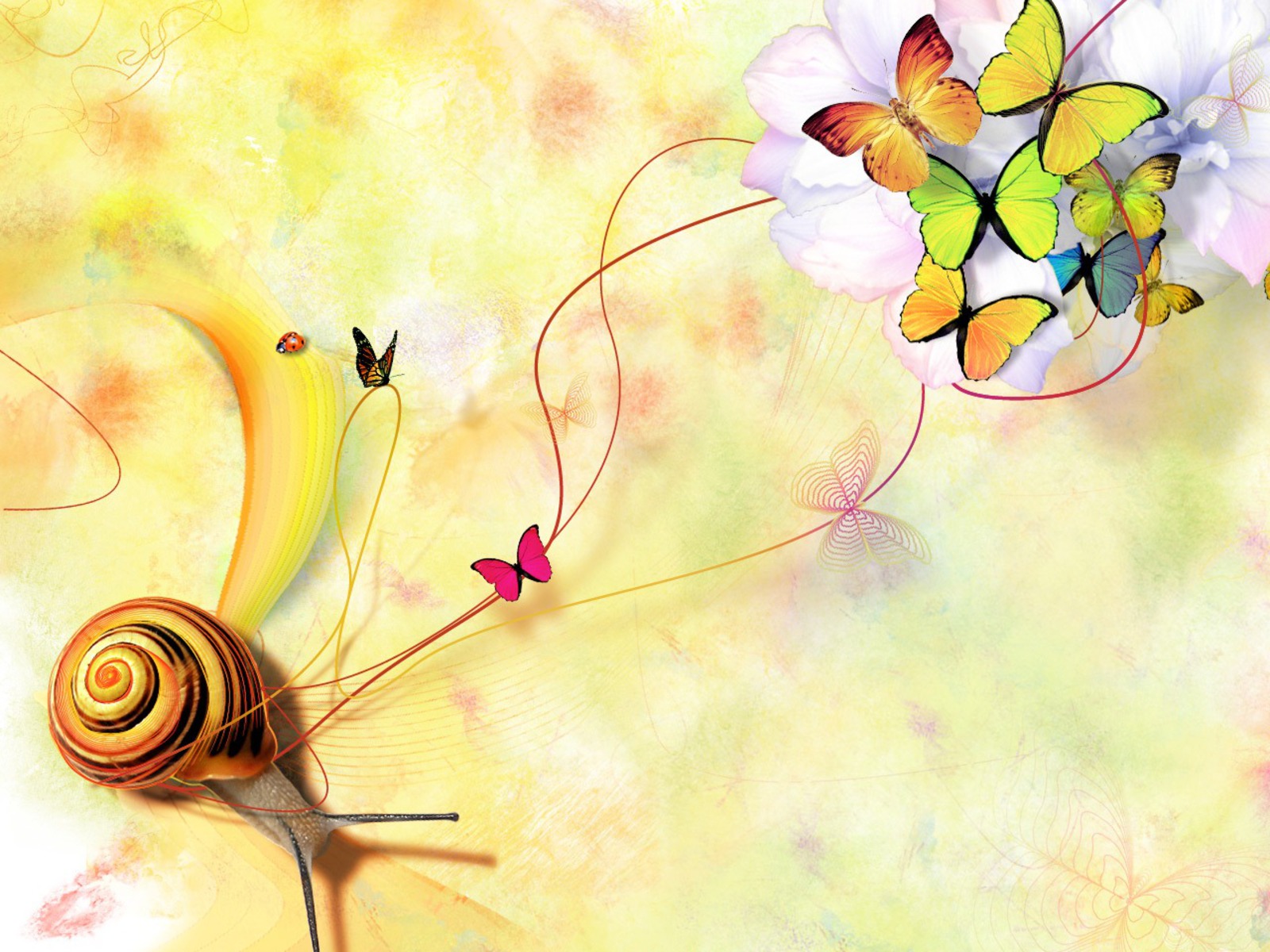 Butterfly Background Wallpaper HD