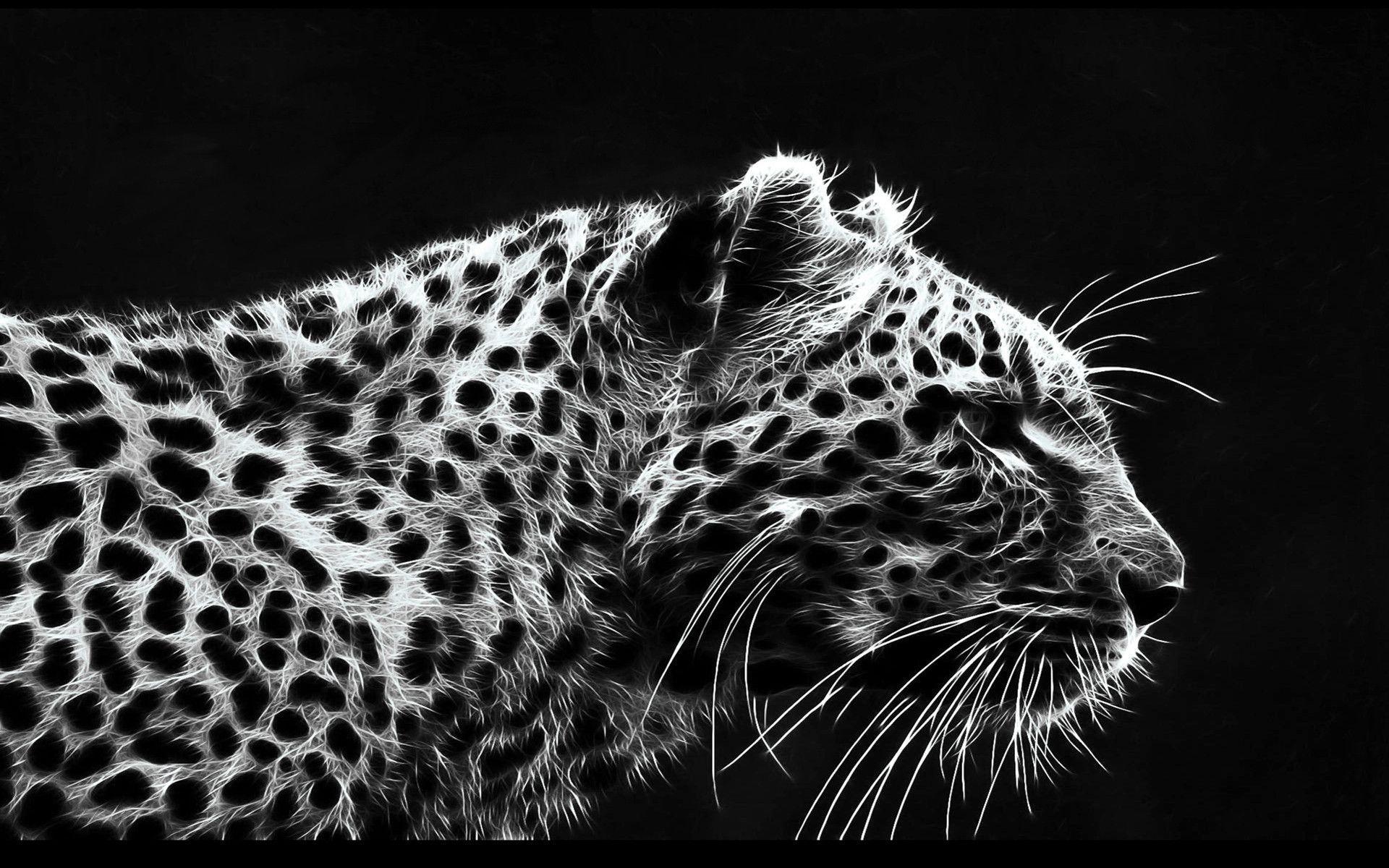 Black Leopard Background