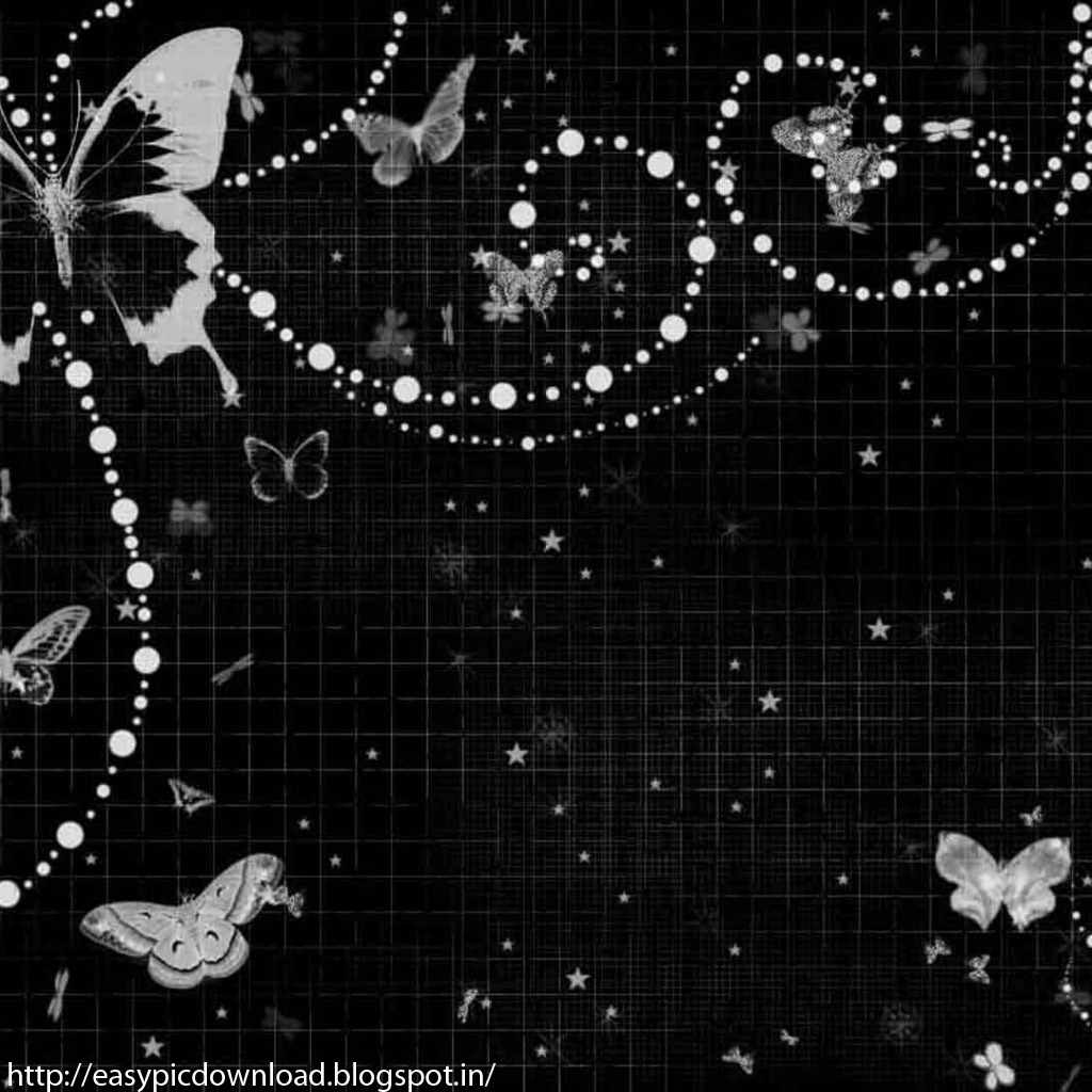 Black White Butterfly Wallpaper Easy Pic