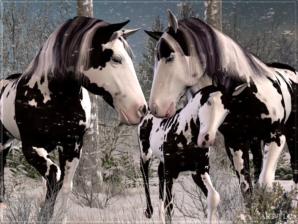 Horse Wallpaper And Screensavers