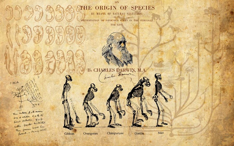 Charles Darwin Wallpaper By Kinepipe