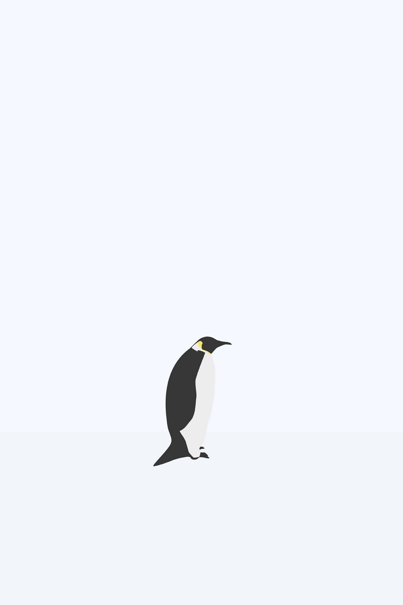 Wallpaper Penguin Minimalism Snow iPhone 4s