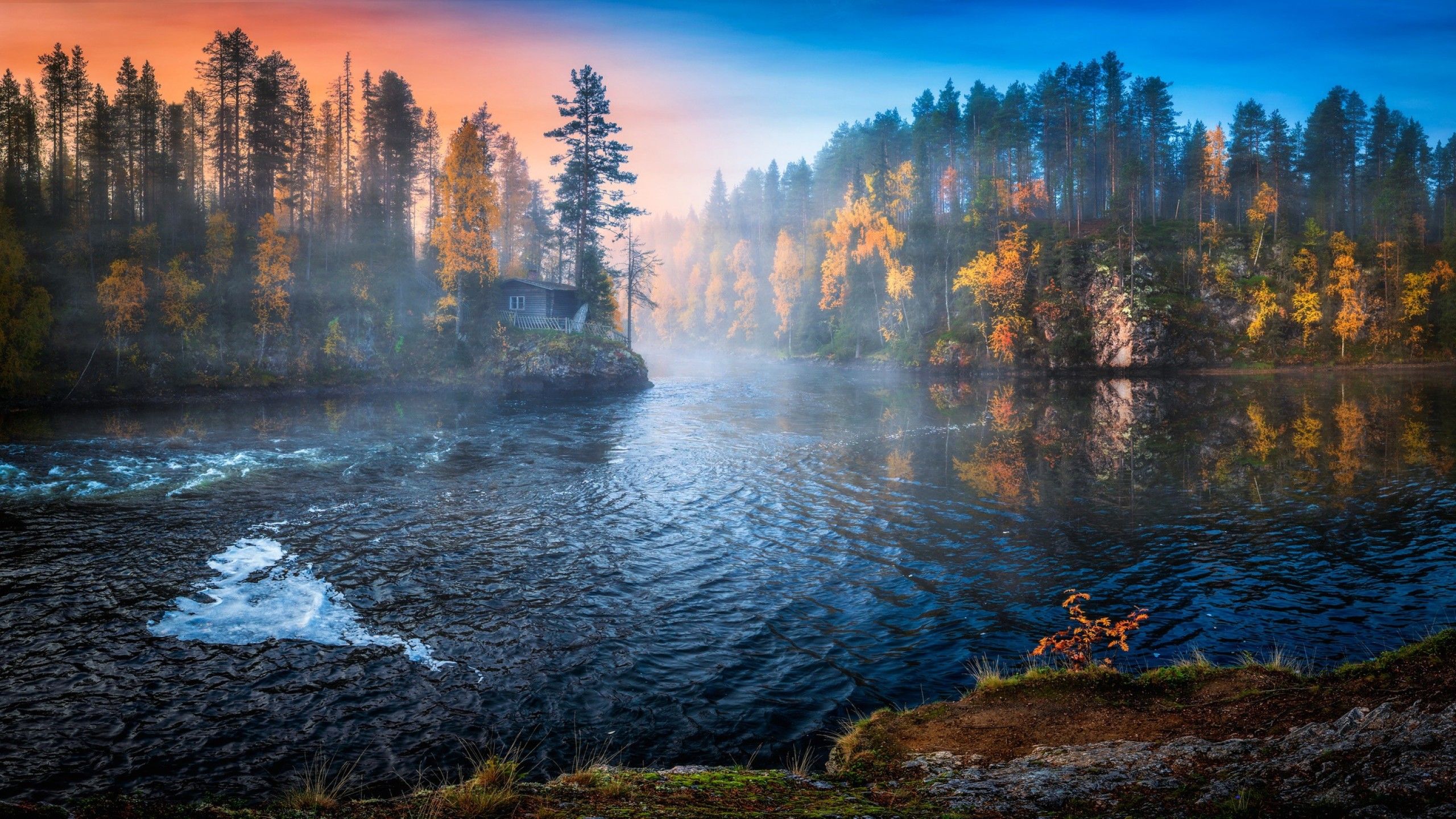 Nature Wallpaper