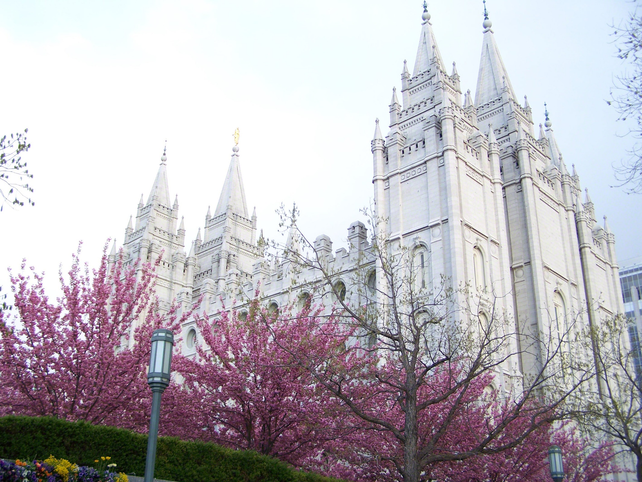 Salt Lake Temple in the Spring