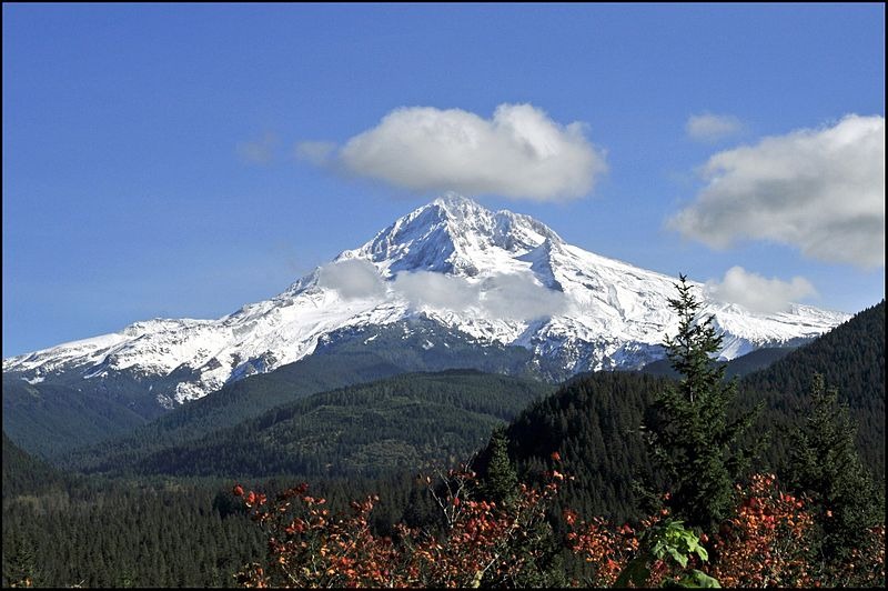 Mt Hood in Oregon   Image Page 800x532