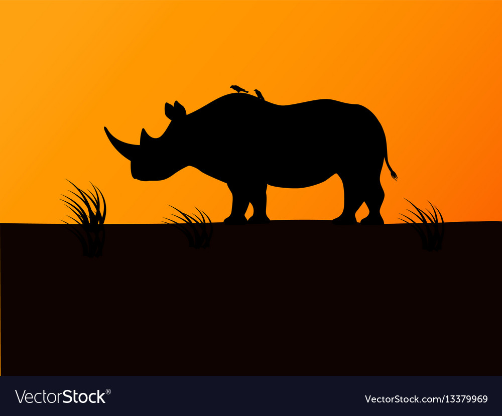 Black Rhino Silhouette Background Sunset Vector Image