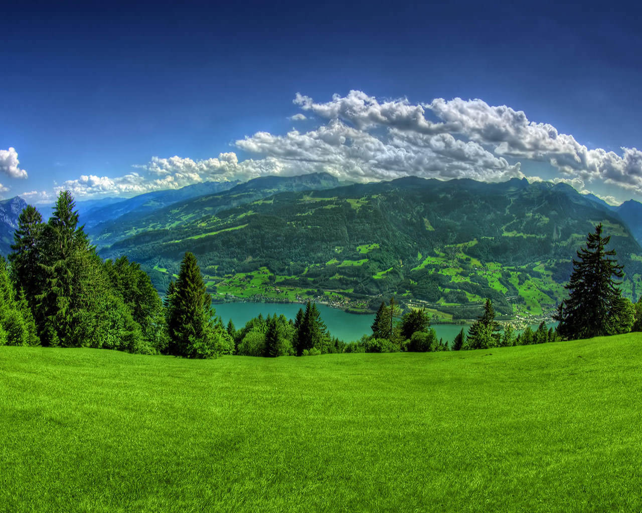Windows Desktop