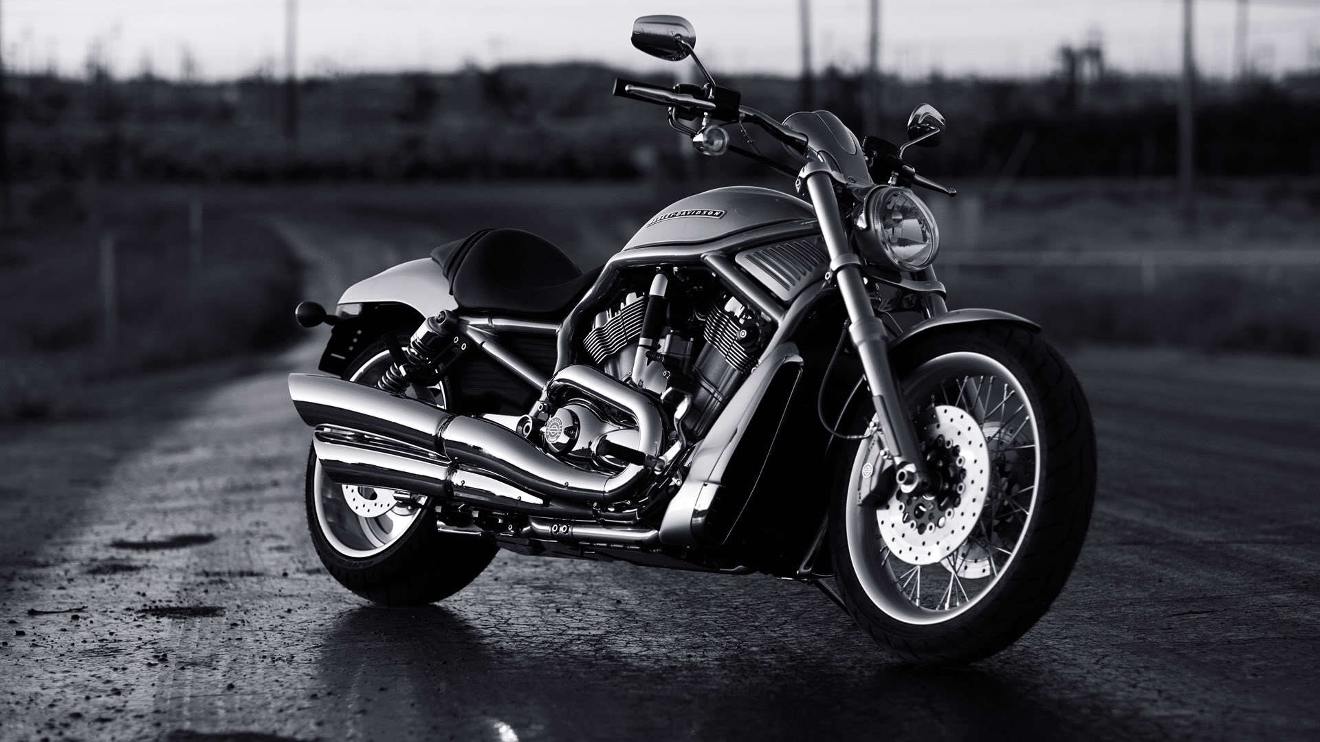 Harley Davidson V Rod Muscle Wallpaper And Image