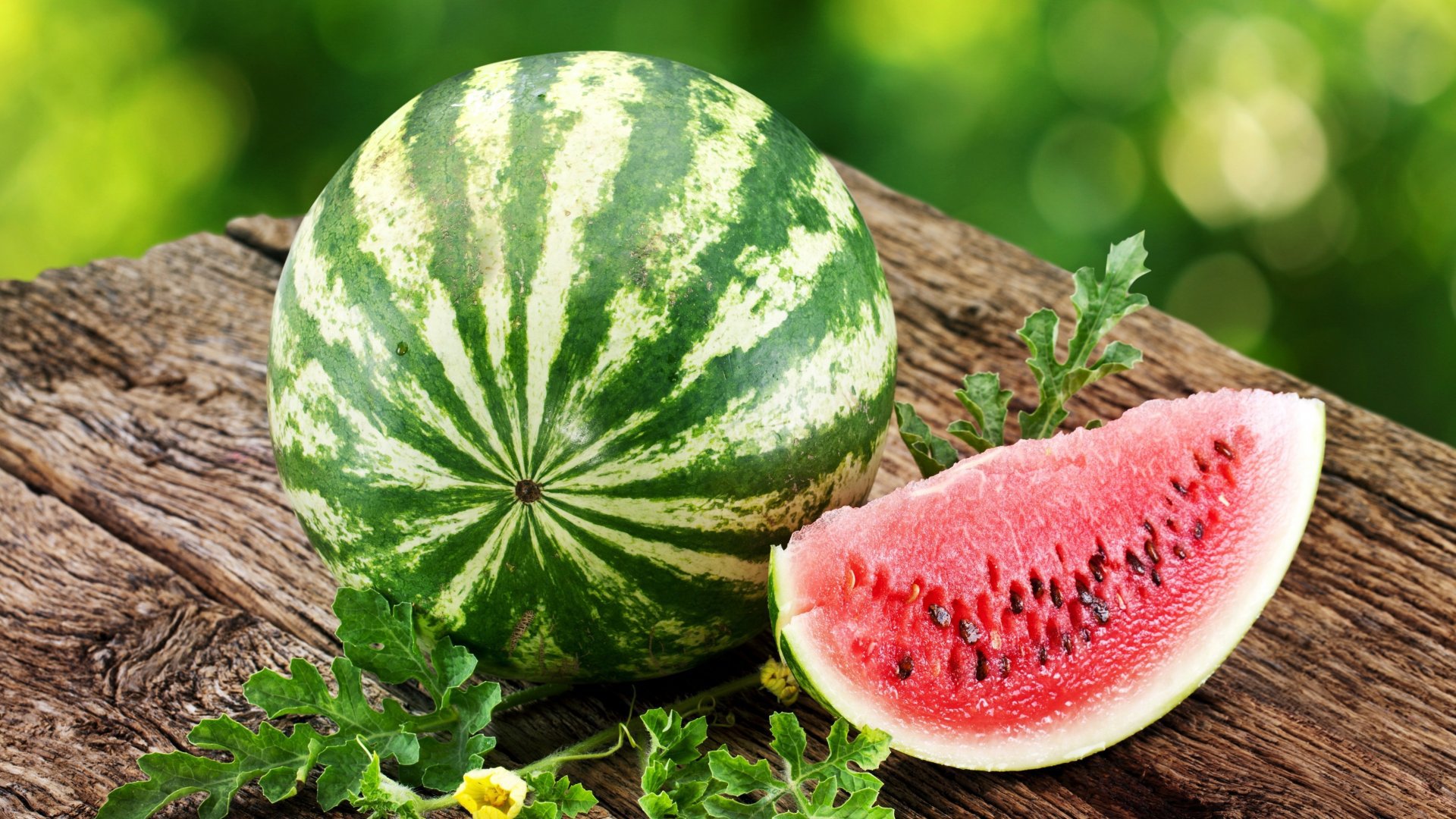Watermelon Wallpaper Image Photos Pictures Background