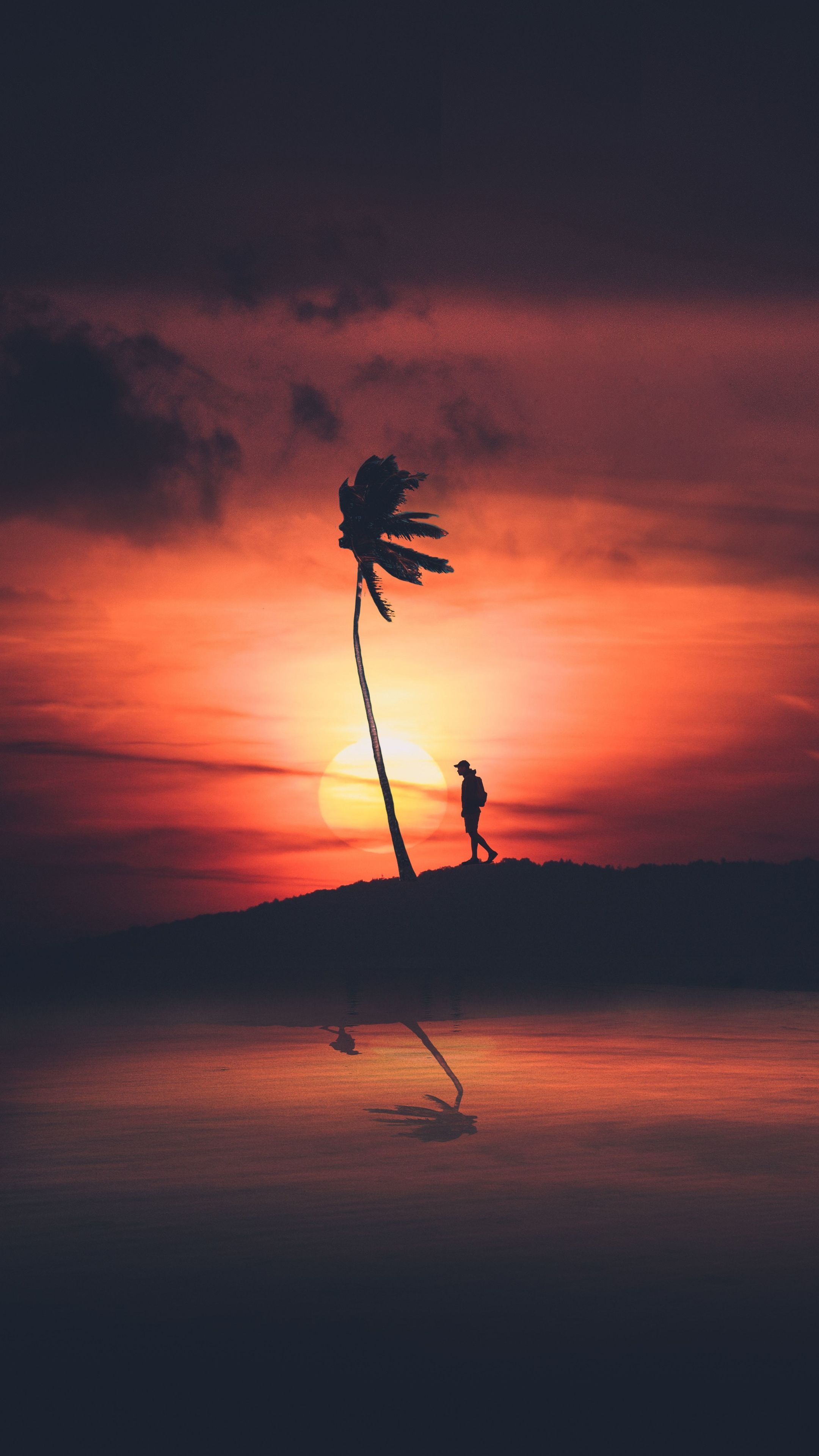 Man And Palm Tree Silhouette Sunset Wallpaper