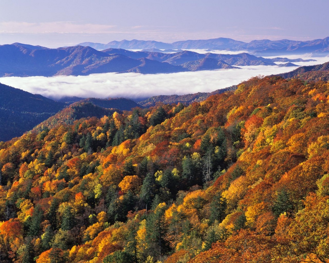 Wallpaper Catalogue River Of Fog Great Smoky Mountains