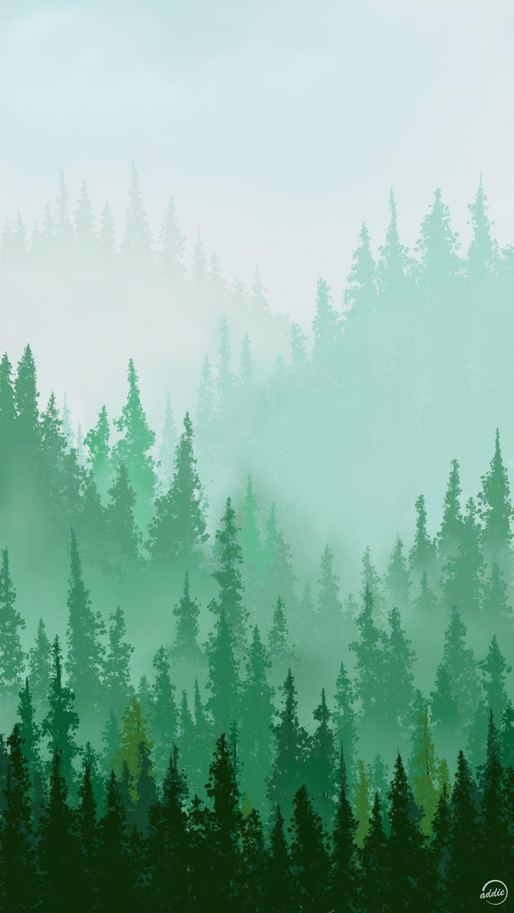 Pine Forest Phone Wallpaper Forest background Forest wallpaper