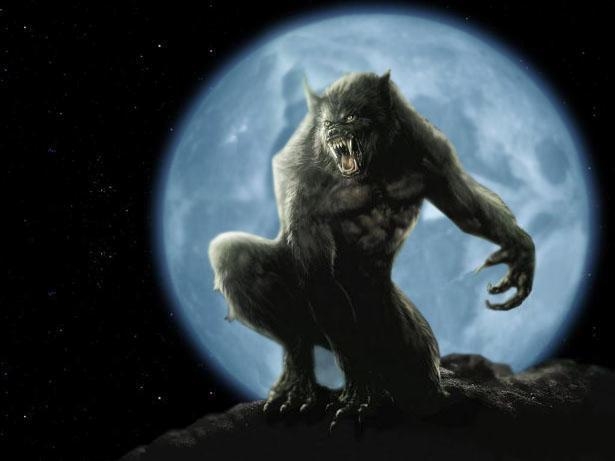 Werewolf By Juanmadraco