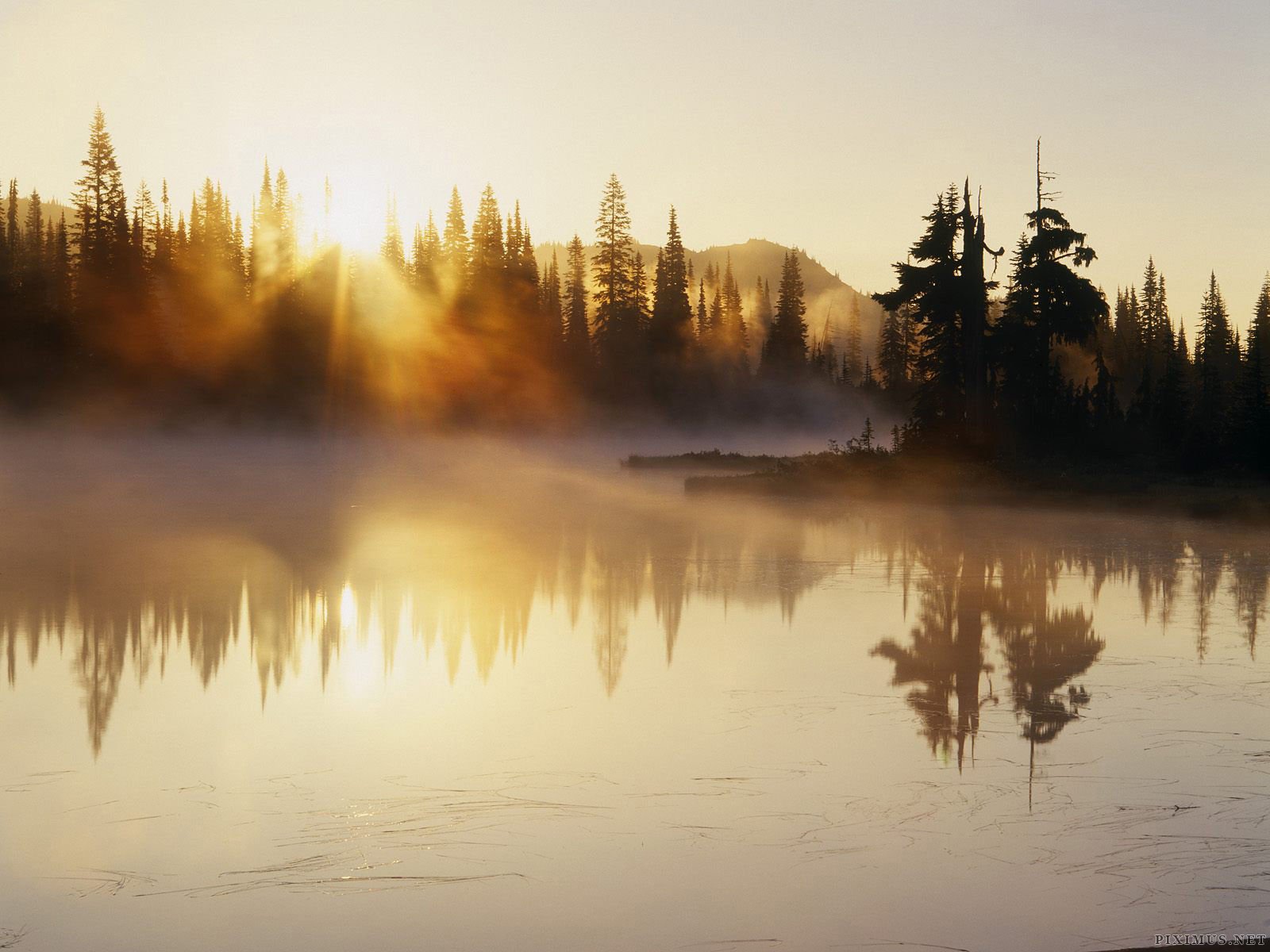 Majestic Wallpaper