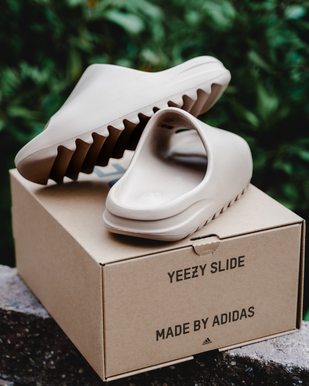 Yeezy Pictures Download Free Images on