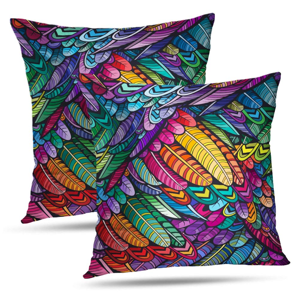 Amazon HDmly Colorful Feathers Decorative Throw Pillow Covers