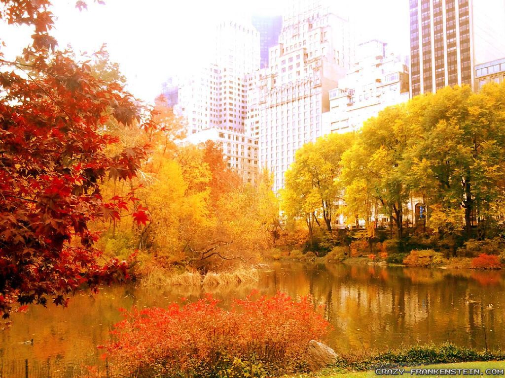 Wallpaper New York City Autumn