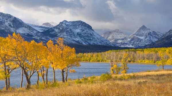 Autumn Season World Glacier National Park Foliage Wallpaper