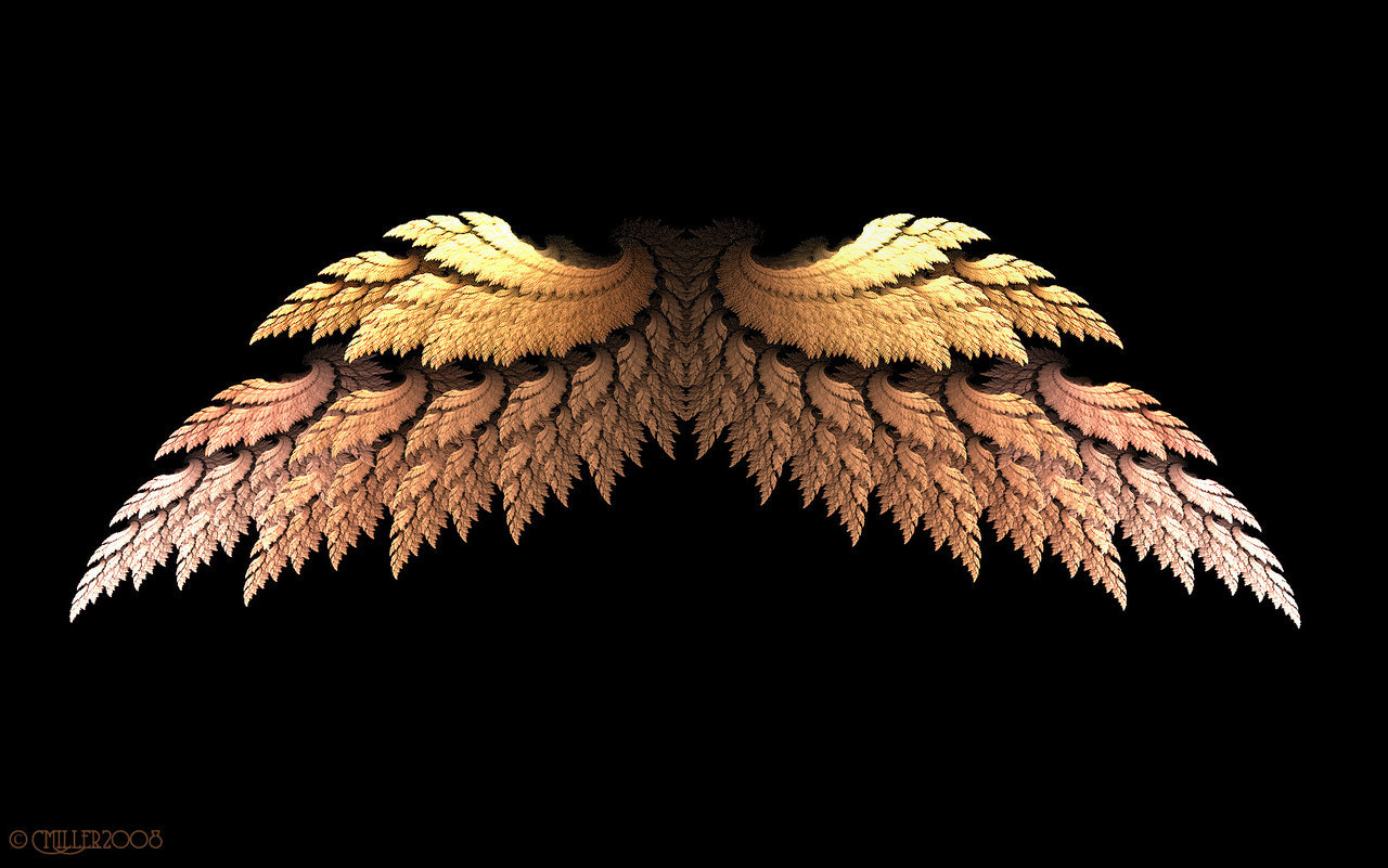 Open Angel Wings Wallpaper The Matrix