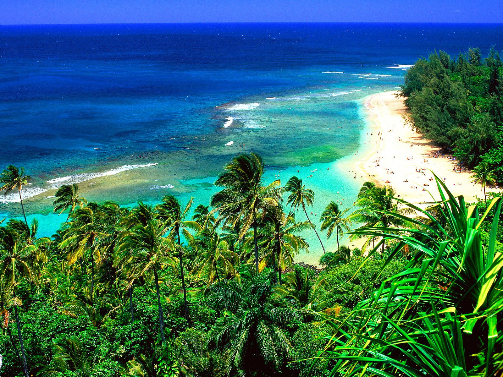 Beach Resort Kauai Lihue United States
