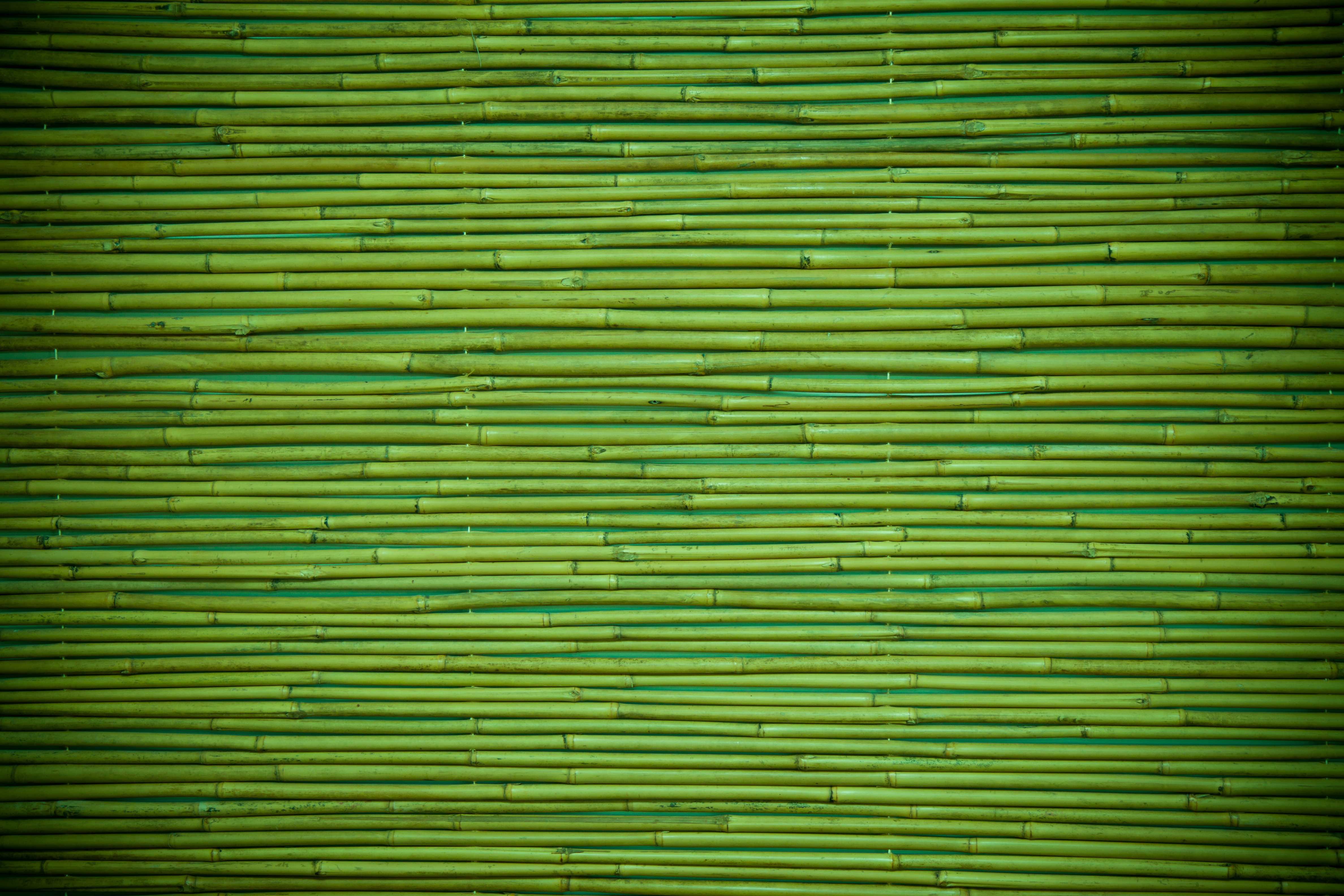 Wallpaper Wood Green Pattern Bamboo Textures