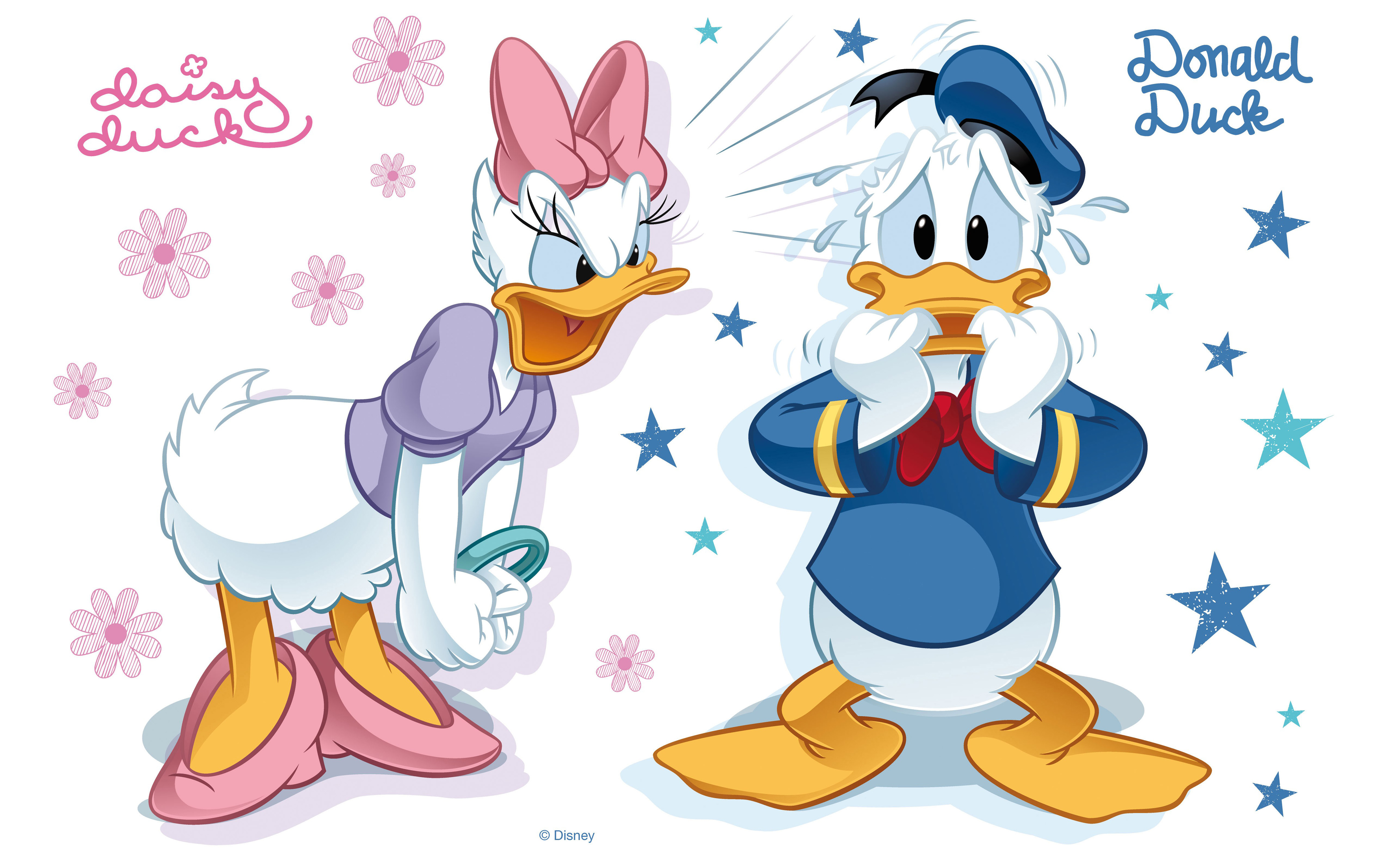 Donald Duck And Daisy Disney Cartoon Tense Moments