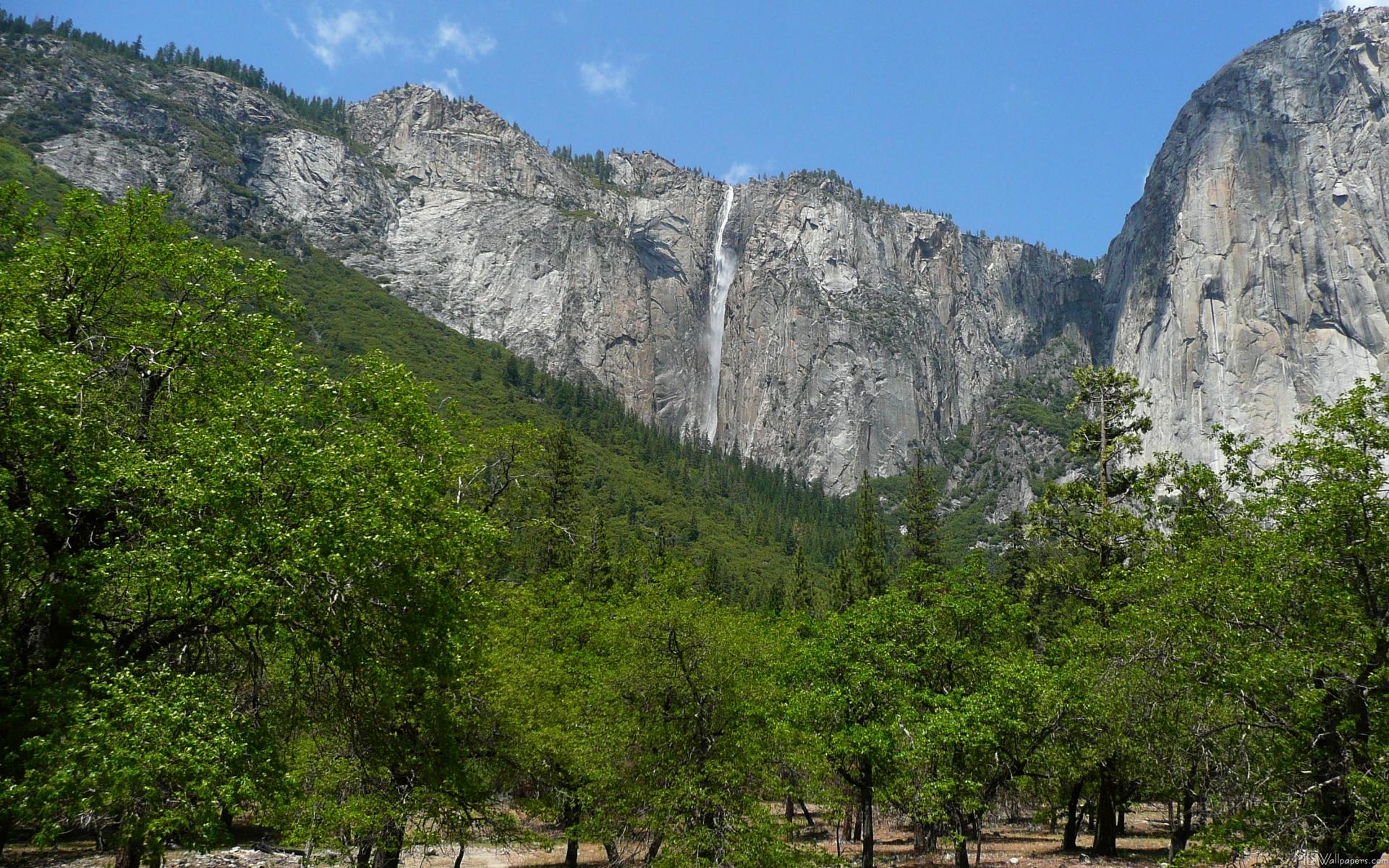 Wallpaper Widescreen Yosemite