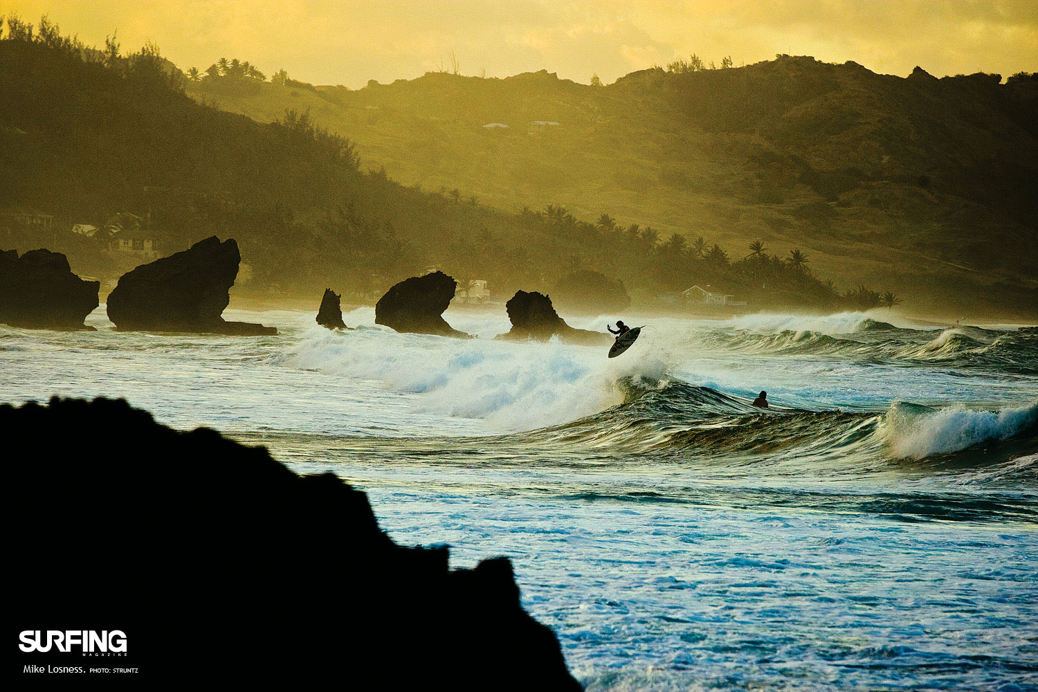 Longboard Surf