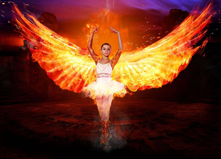 Top Fire Wings Wallpaper Full HD 4k To Use