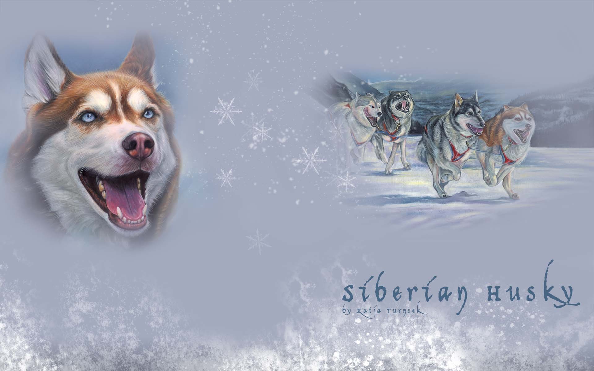 Siberian Husky Artistic Dog Huskies Animal Wallpaper