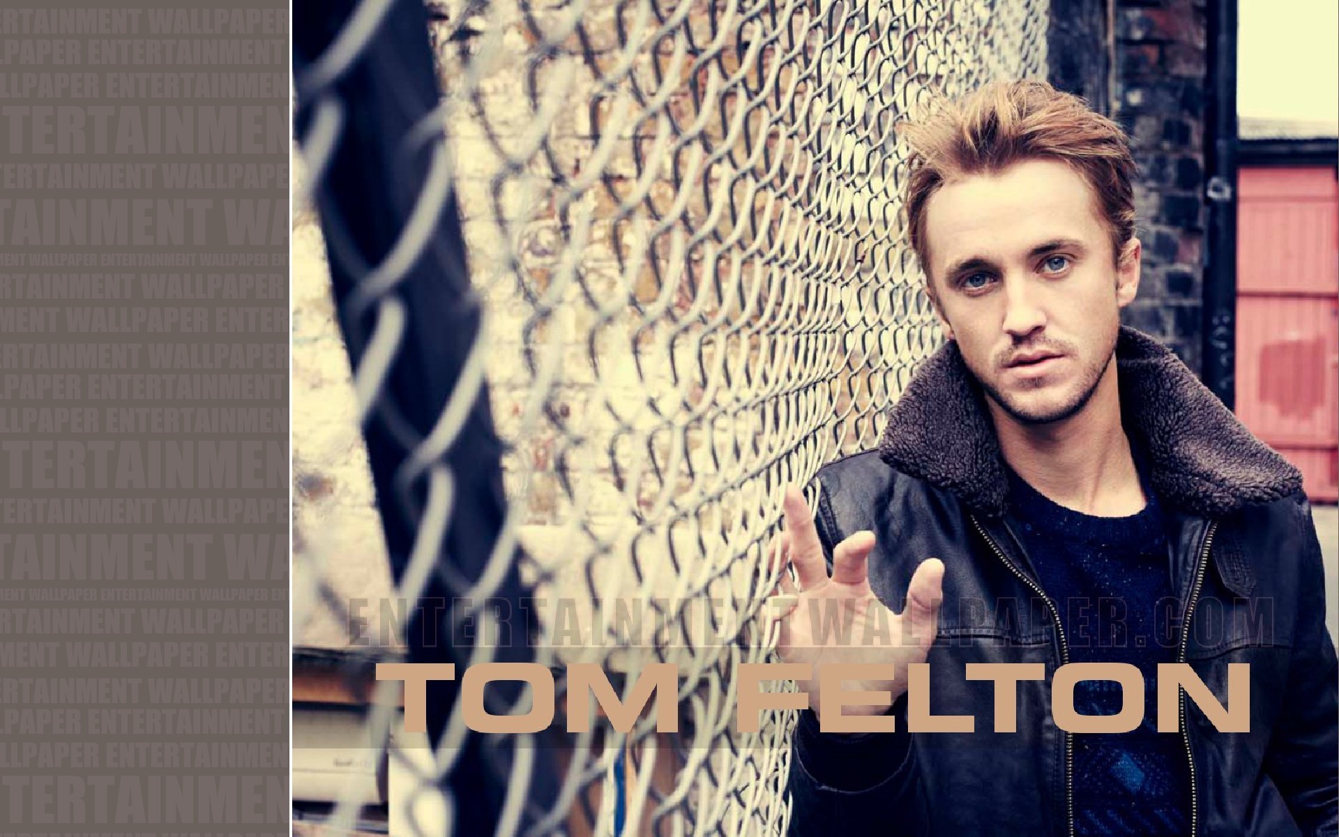 Tom Felton Wallpaper