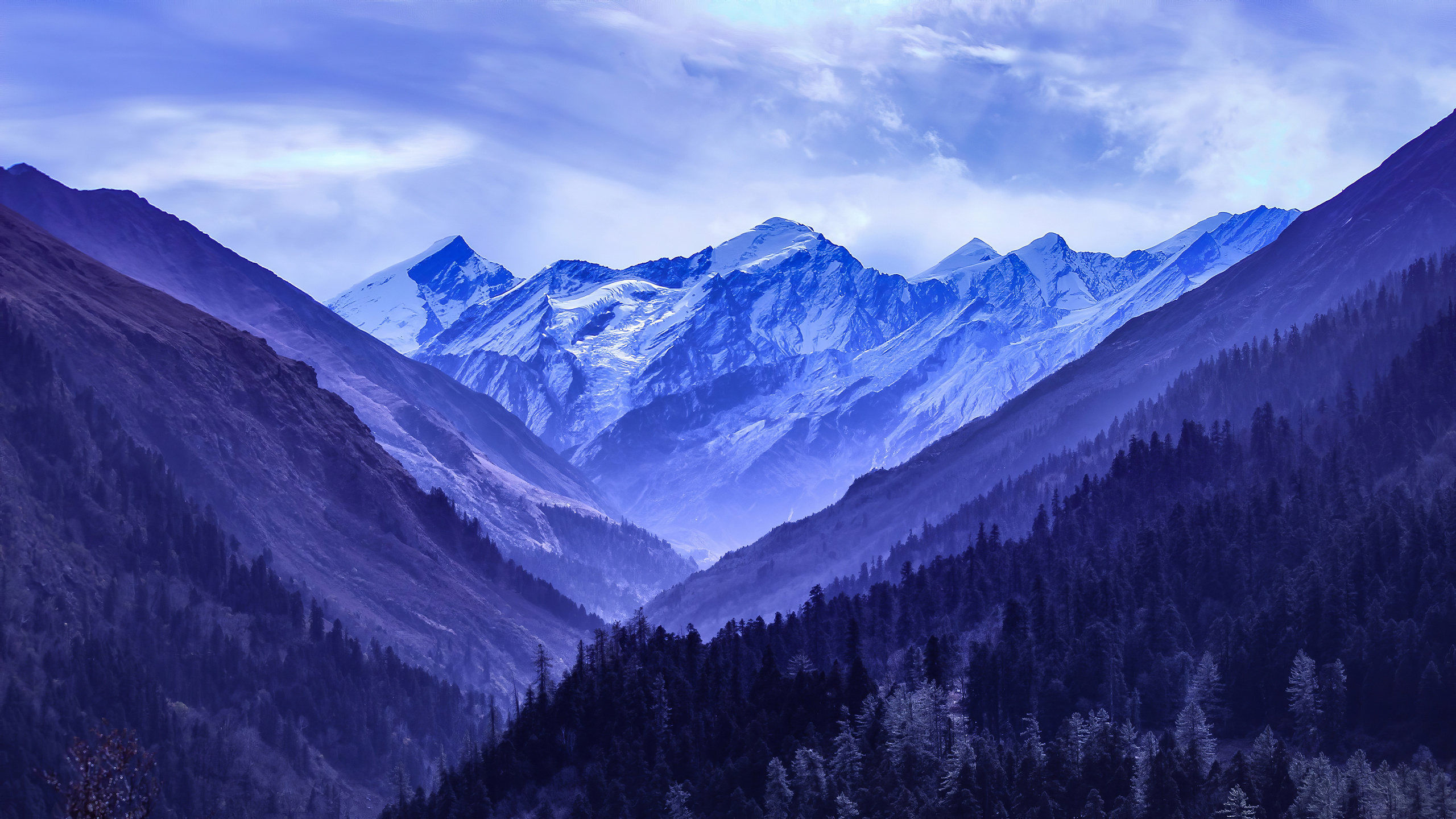 Breathtaking 4K wallpaper of a majestic mountain range, with snow-capped peaks and a valley of coniferous trees in a stunning shade of deep purple