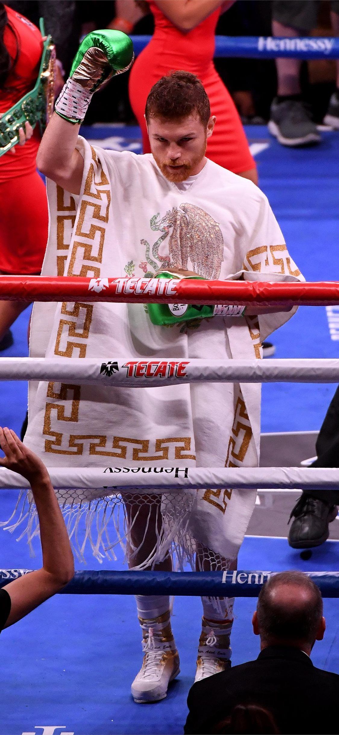 Saul Canelo Alvarez Wallpaper