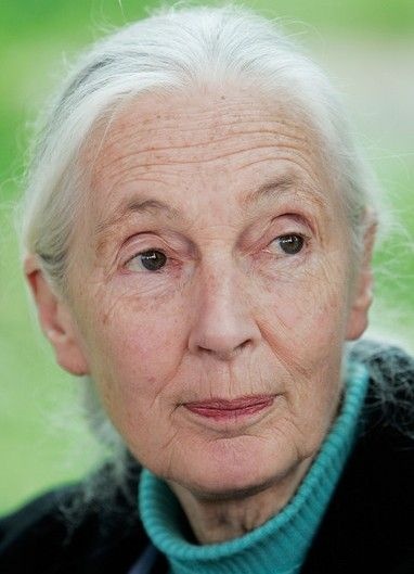 Best Image About Jane Goodall