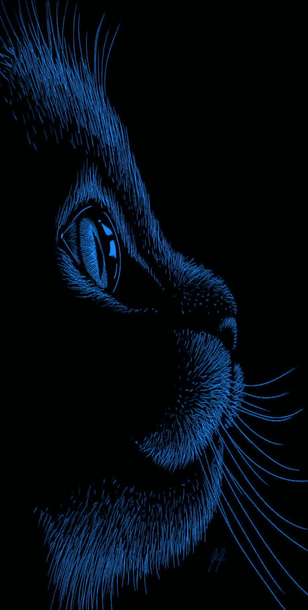 Ultra HD Mobile Wallpaper Blue Eyes Cat With Black Background