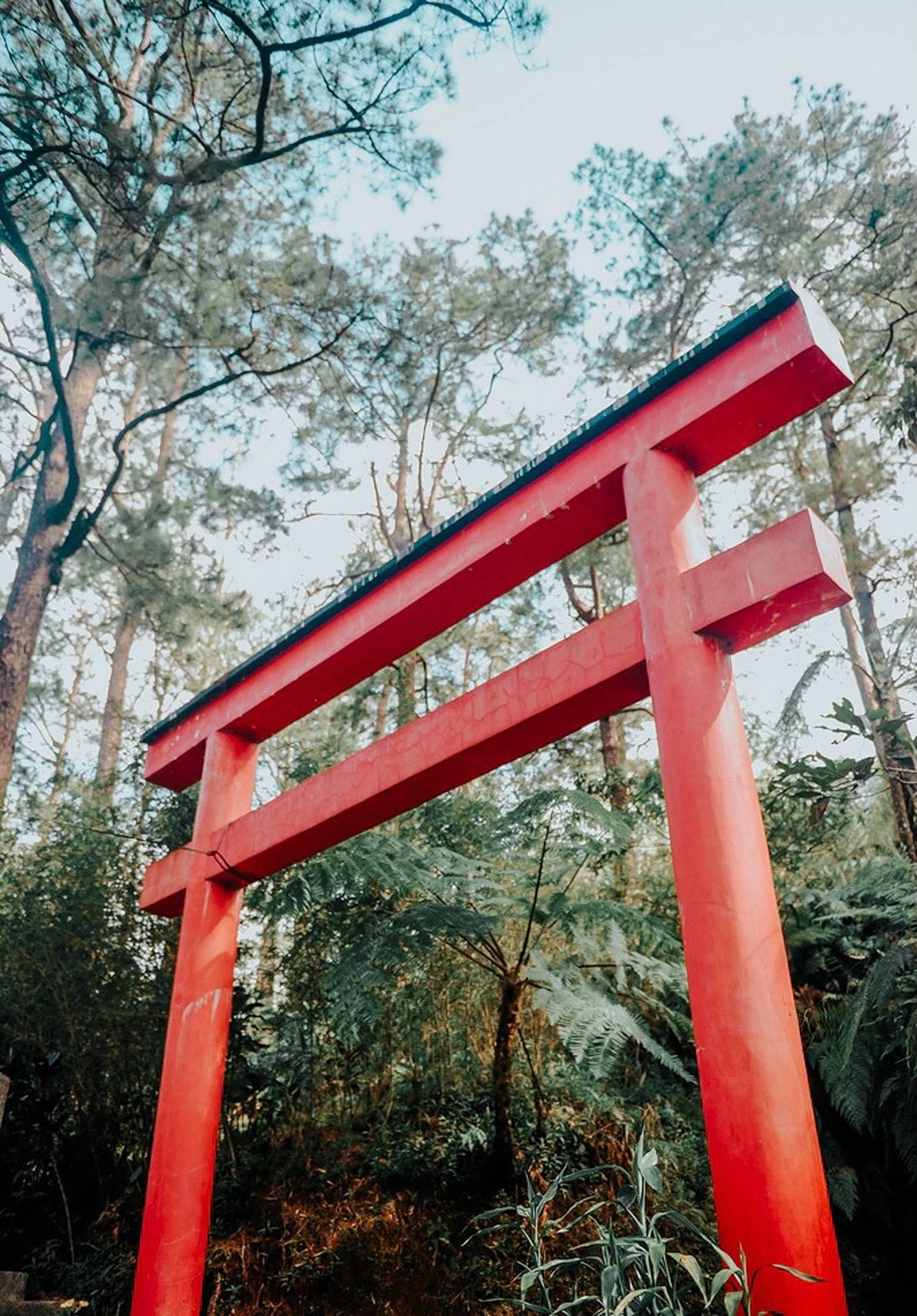 Top Torii Gate Wallpaper Full Hd 4k To Use