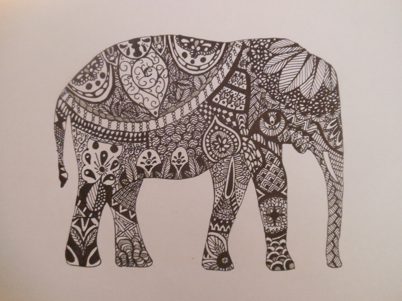 Drawing Elephant We Heart It
