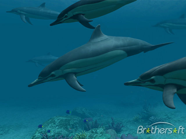 Dolphins 3d Screensaver