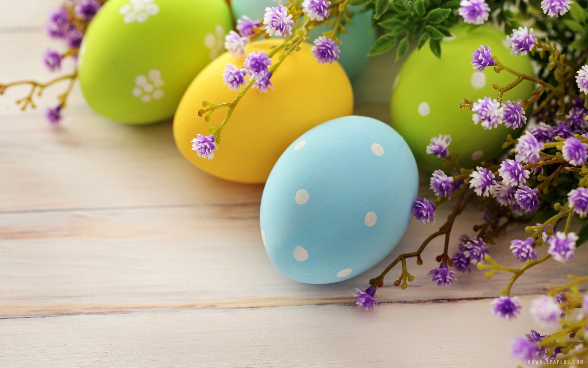 Colour Full Easter Eggs Background HD Wallpaper IHD